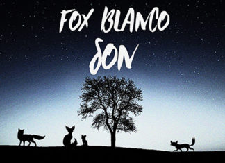 Fox Blanco