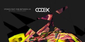 StoKed, Fire Between Us, Codex Recordings, new peak time Techno music