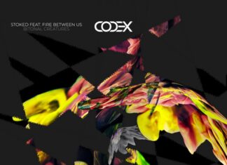 StoKed, Fire Between Us, Codex Recordings, new peak time Techno music