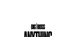 BIG BOSS - Anything - new BIG BOSS music - Bass House Free Download