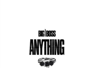 BIG BOSS - Anything - new BIG BOSS music - Bass House Free Download