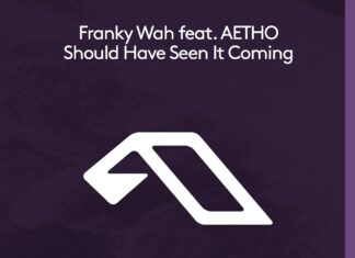 Franky Wah, Anjunadeep 2021, new Franky Wah music, AETHO