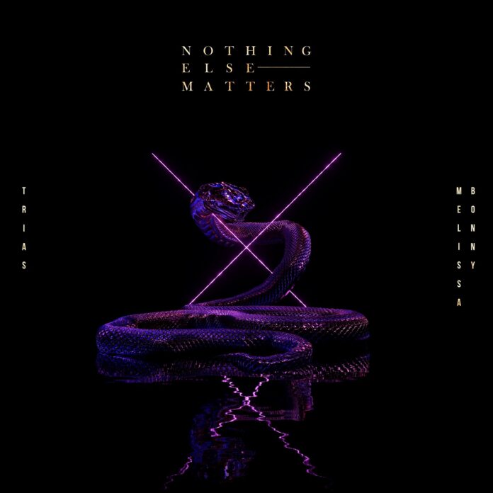 nothing else matters metallica album cover