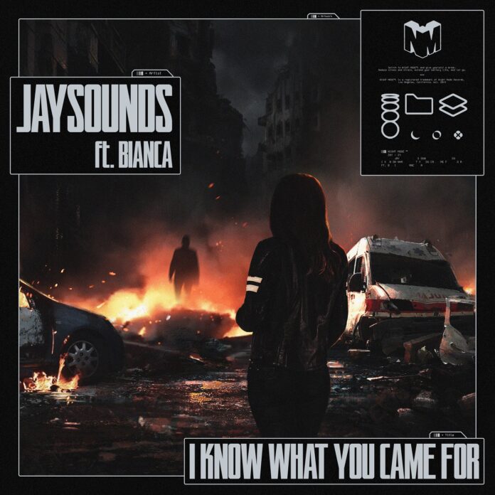 JaySounds, new JaySounds music, Insomniac's Night Mode Records, What You Came For