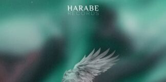 Four Hands (GER) - Four Hands (GER) - Dive Into the Shade - Harabe Records - new Four Hands music