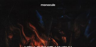 Monocule - You Don't Know, Nicky Romero label Protocol Recordings, Monocule Volume 2 EP
