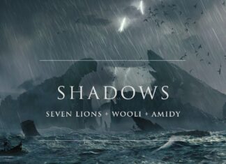 Seven Lions, Wooli & Amidy - Shadows, Seven Lions Ubbi Dubbi Festival set, Briddim Boy Wooli, Amidy Vocal