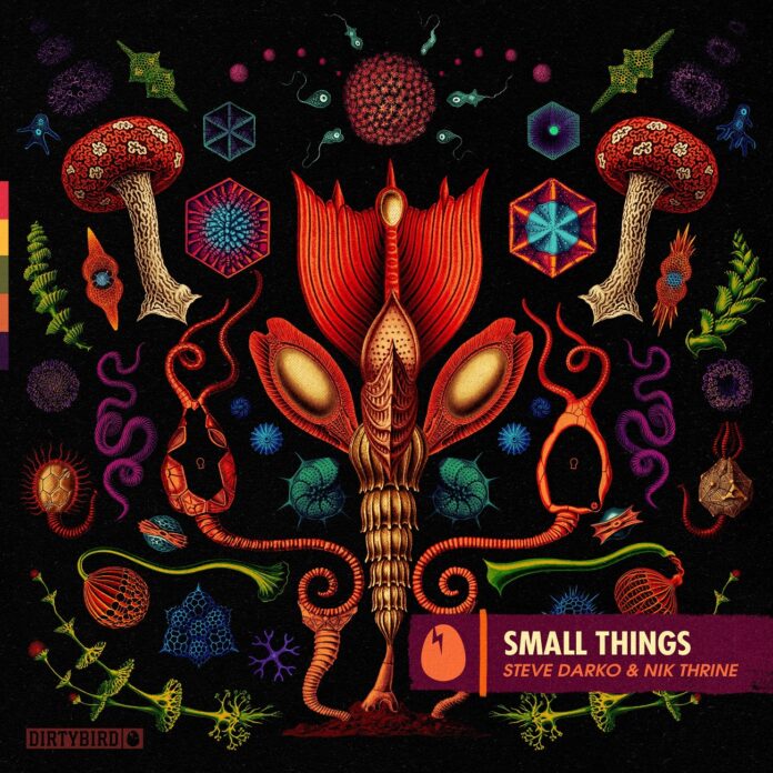 Steve Darko & Nik Thrine - Small Things, Dirtybird Records 2021, Deep Tech House, new Steve Darko music