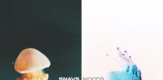 Snavs - Moods is OUT NOW on the Dim Mak Trap / Future Bass portfolio. This new Snavs music comes with a fresh Snavs Lyric Video on Youtube.