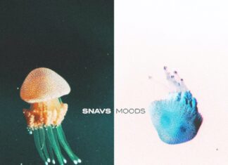 Snavs - Moods is OUT NOW on the Dim Mak Trap / Future Bass portfolio. This new Snavs music comes with a fresh Snavs Lyric Video on Youtube.