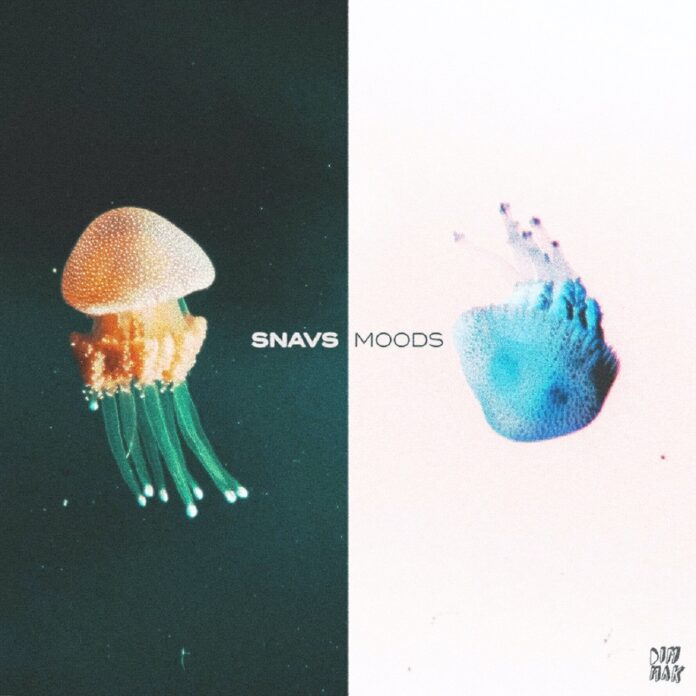 Snavs - Moods is OUT NOW on the Dim Mak Trap / Future Bass portfolio. This new Snavs music comes with a fresh Snavs Lyric Video on Youtube.