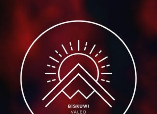 biskuwi - Valeo is OUT NOW on ALAULA Music. This new biskuwi music has also been featured on the popular Electronic Rising Spotify playlist!