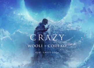 Wooli & Codeko - Crazy (feat. Casey Cook) is OUT NOW! This new emotional breakup song is available on all streaming apps via Ophelia Records.