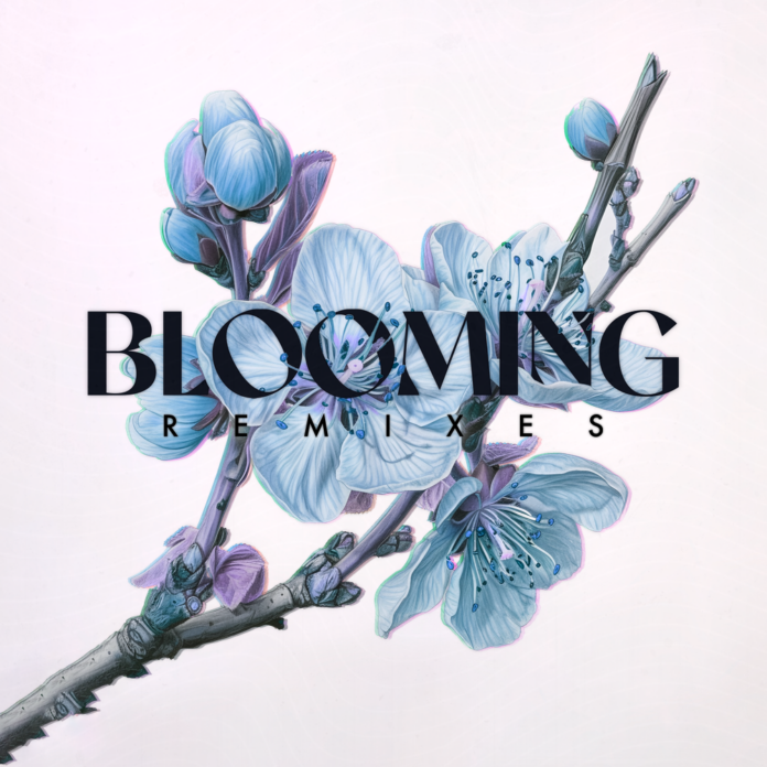 Bronze Whale's emotional lyrics get an old-school Future Bass, Trap, and Dubstep music twist on the Blooming Remixes EP by Soft Jaw & Martron