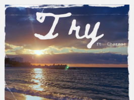 You Liang dropped his new collab with Charmae "Try"! The EP brings 4 different versions of the dreamy Pop-tinged Future Bass opus.