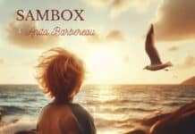 After their spellbinding collab Wabi Sabi, Sambox and cellist Anita Barbereau reunite on the new ethereal and poetic opus Imagination.