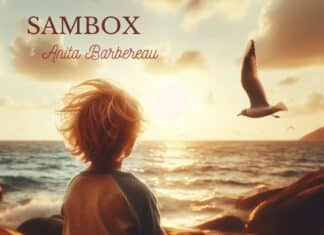 After their spellbinding collab Wabi Sabi, Sambox and cellist Anita Barbereau reunite on the new ethereal and poetic opus Imagination.