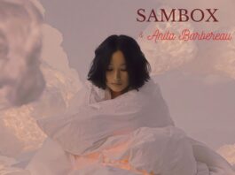 After the beautiful collaborations "Wabi Sabi" & "Imagination", Sambox and cellist Anita Barbereau bring their latest release "Cocooning".