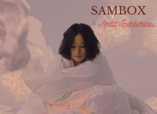 After the beautiful collaborations "Wabi Sabi" & "Imagination", Sambox and cellist Anita Barbereau bring their latest release "Cocooning".