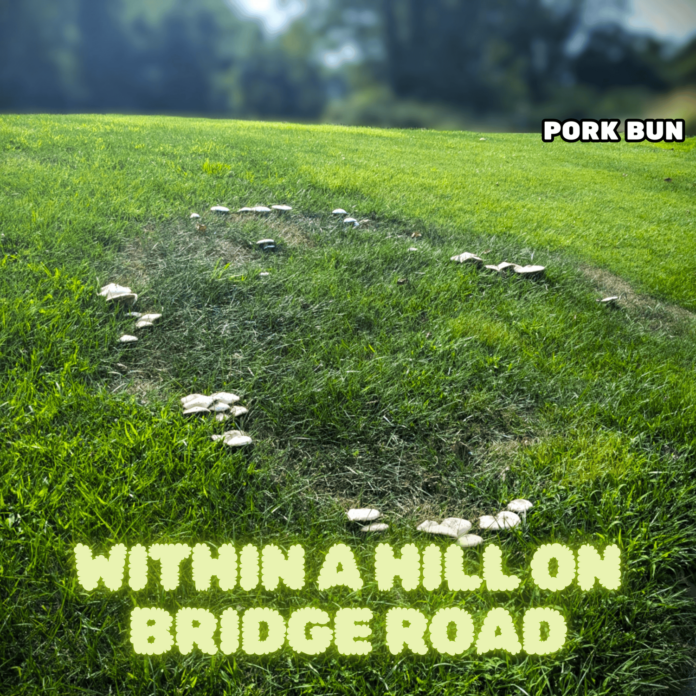 Following his debut album Big Bobbi, Pork Bun returns with the fresh and innovative new 13-track album Within a Hill on Bridge Road.