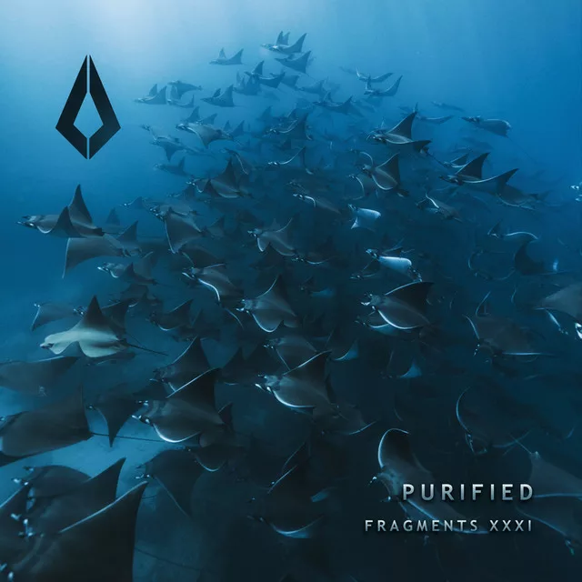 Delta Vaults drop the Melodic House anthem Colors Of Life on Purified Records, supported by Korolova, Lost Frequencies, Cassian and more! Delta Vaults drop the Melodic House anthem Colors Of Life on Purified Records, supported by Korolova, Lost Frequencies, Cassian and more!