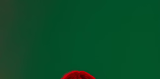 Marina Laduda’s debut Dark Alt Pop album “Hot Mess” blends rage, love, and loss into a bold new chapter for angry girl Pop music.