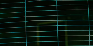 BSK & BigHeck Push Bass Boundaries on Benert EP (2026) Dubstep meets DnB and Hip Hop as BSK & BigHeck introduce the new Benert EP, a hybrid bass music statement for 2026.