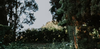 DJ & music producer Mental Frank